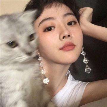 风暴全明星内购破解版下载
